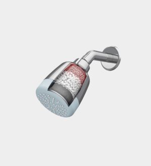 Consectetur Dipiscing